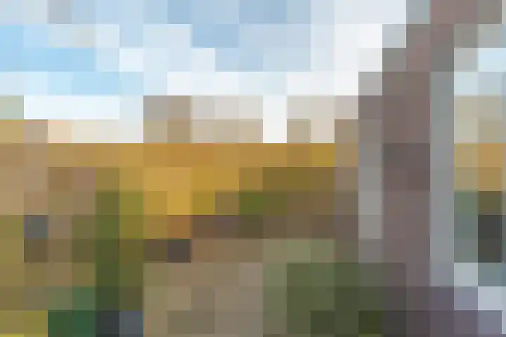 Groteweid 11 Andijk thumbnail 47