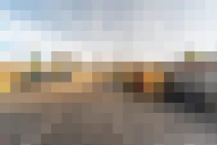 Groteweid 11 Andijk thumbnail 53