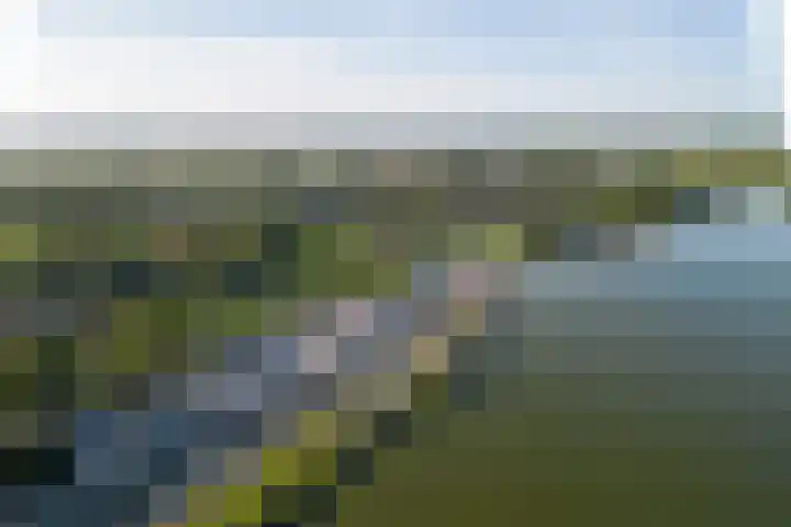 Groteweid 11 Andijk thumbnail 63