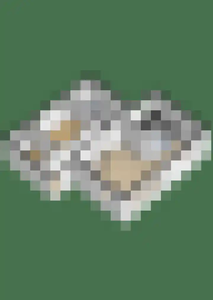 Groteweid 11 Andijk thumbnail 65