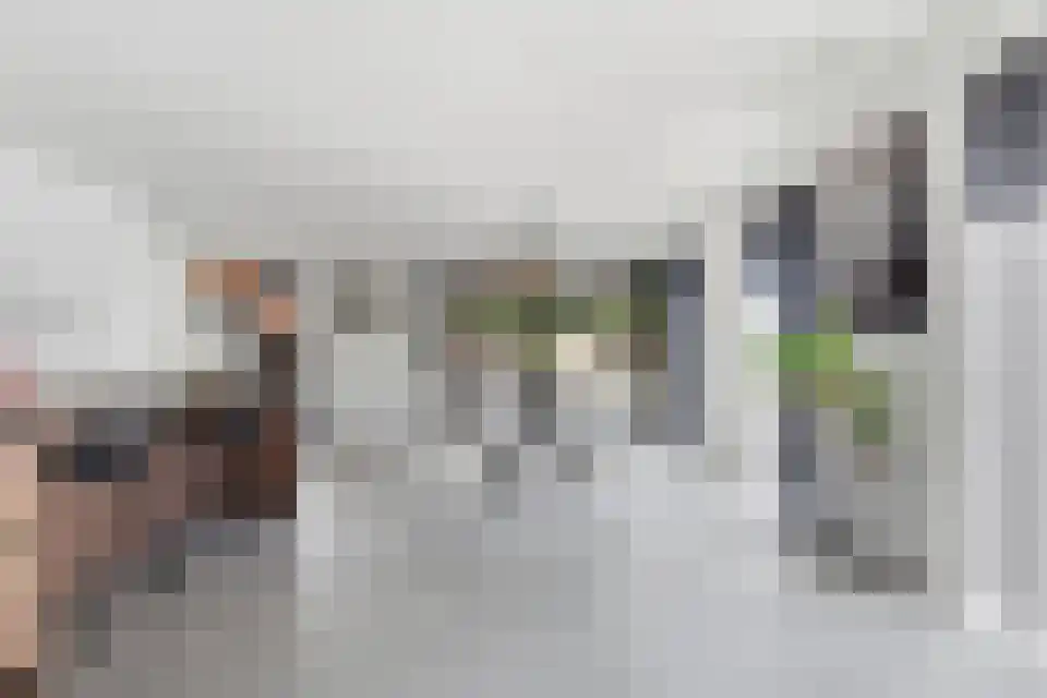 Grotewinkelstraat 3600 Genk Zwartebroek thumbnail 11