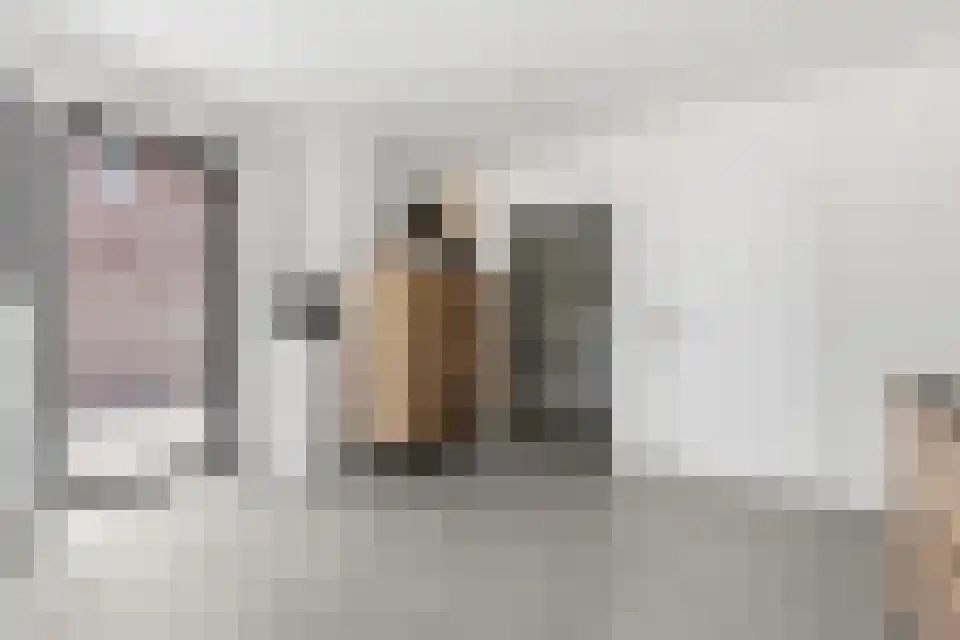 Grotewinkelstraat 3600 Genk Zwartebroek thumbnail 12