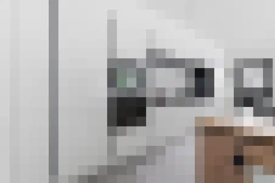 Grotewinkelstraat 3600 Genk Zwartebroek thumbnail 15