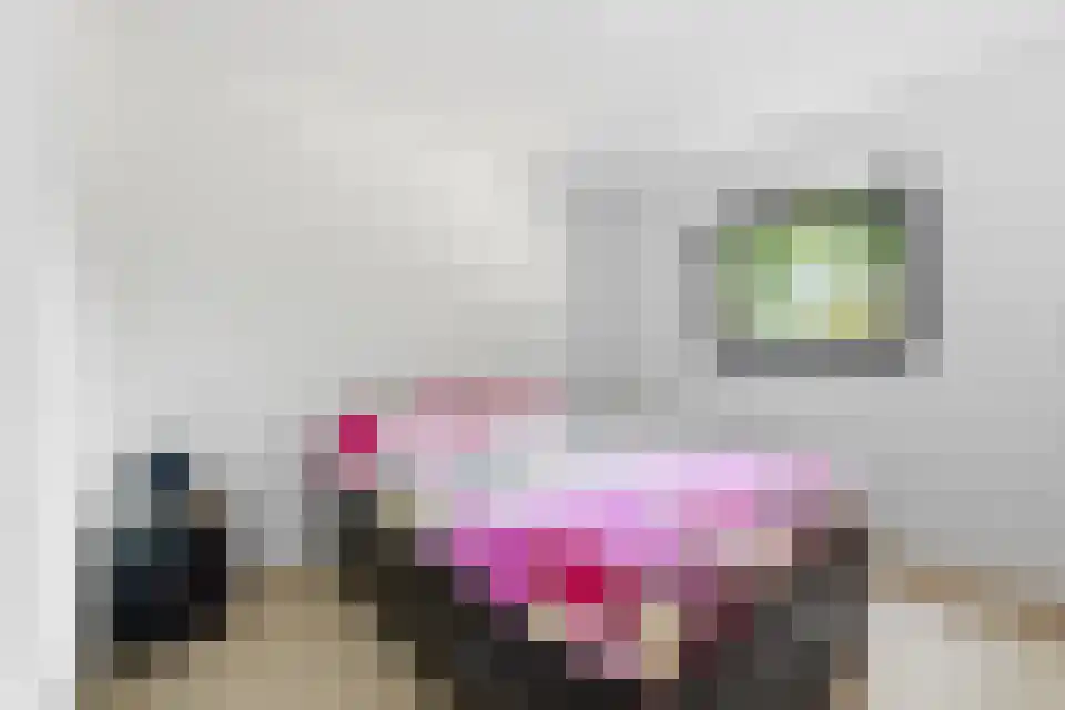 Grotewinkelstraat 3600 Genk Zwartebroek thumbnail 23