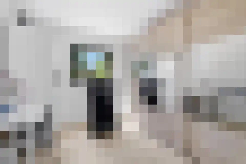 Grotewinkelstraat 3600 Genk Zwartebroek thumbnail 24