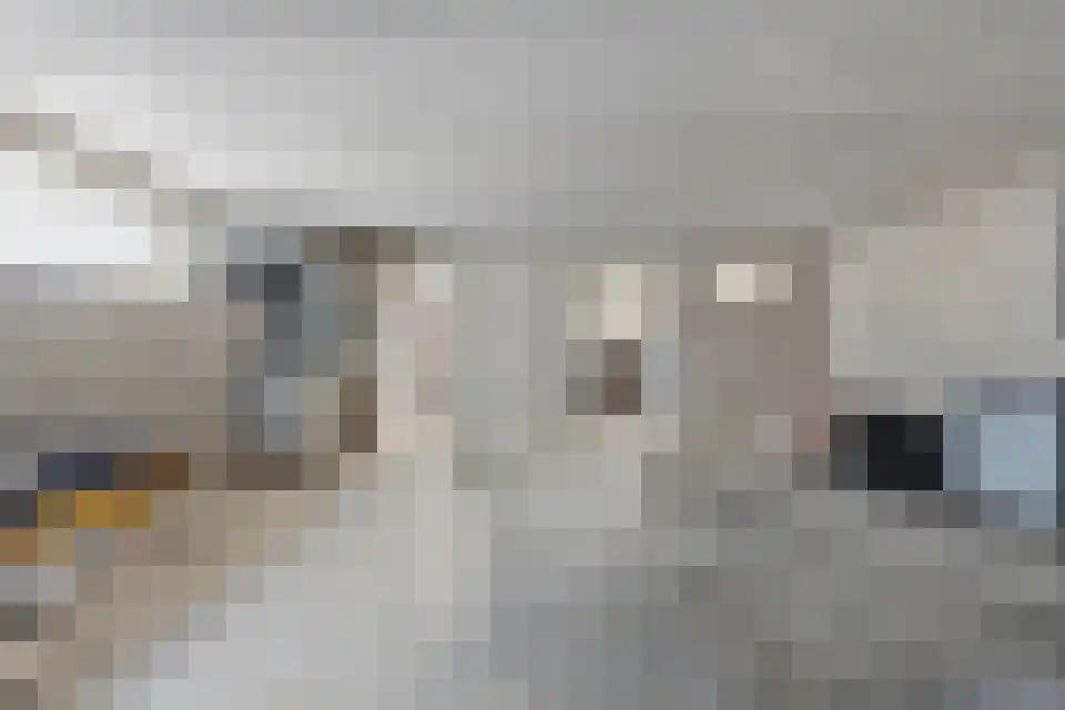 Grotewinkelstraat 3600 Genk Zwartebroek thumbnail 32