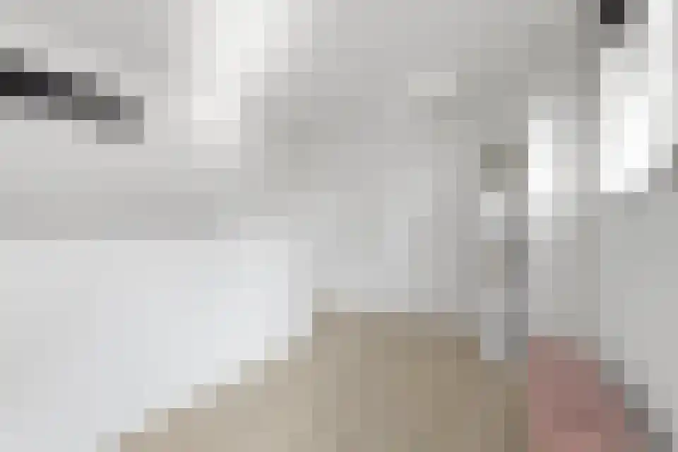 Grotewinkelstraat 3600 Genk Zwartebroek thumbnail 36