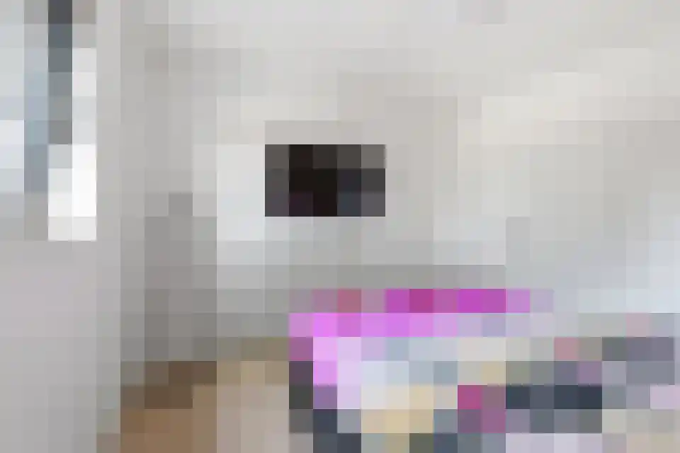 Grotewinkelstraat 3600 Genk Zwartebroek thumbnail 37