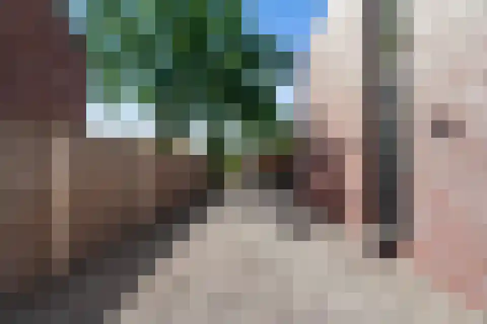 Grotewinkelstraat 3600 Genk Zwartebroek thumbnail 4