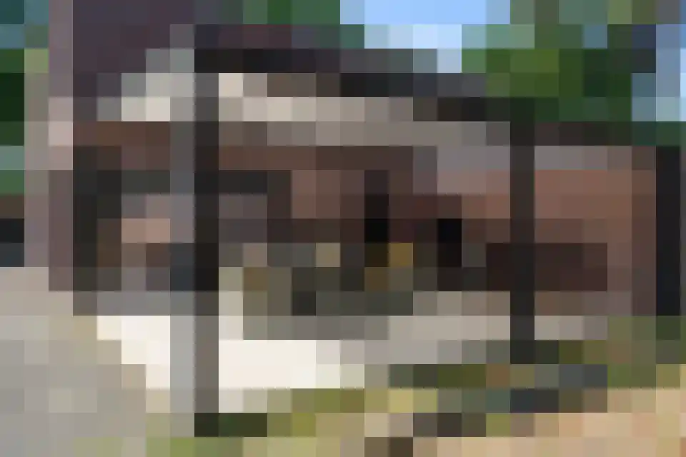 Grotewinkelstraat 3600 Genk Zwartebroek thumbnail 41