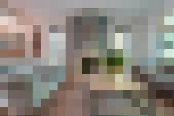 Grothelaan 18 A Groenekan thumbnail 13