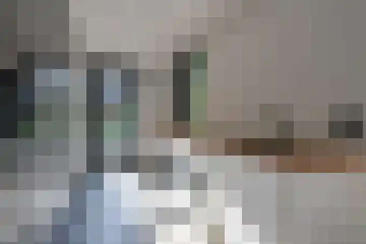 Grothelaan 18 A Groenekan thumbnail 21