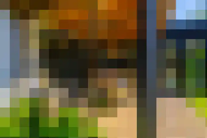 Grothelaan 18 A Groenekan thumbnail 26