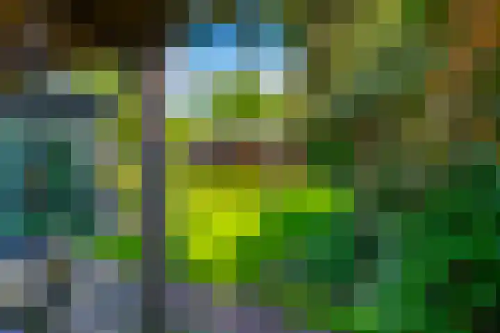 Grothelaan 18 A Groenekan thumbnail 27
