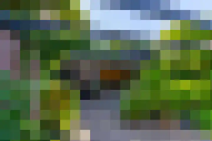 Grothelaan 18 A Groenekan thumbnail 30