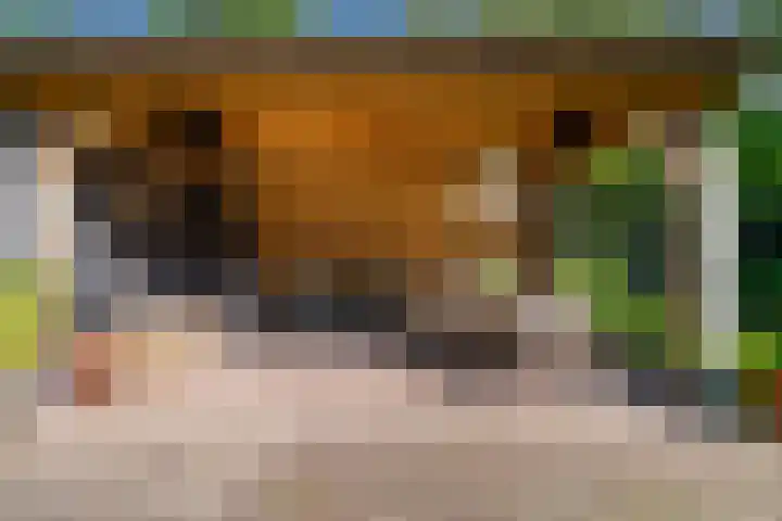 Grothelaan 18 A Groenekan thumbnail 31