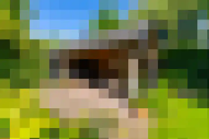 Grothelaan 18 A Groenekan thumbnail 33