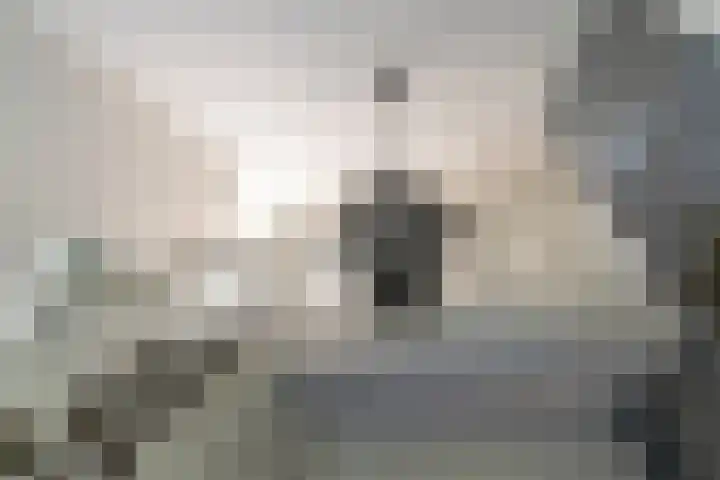 Grothelaan 18 A Groenekan thumbnail 39