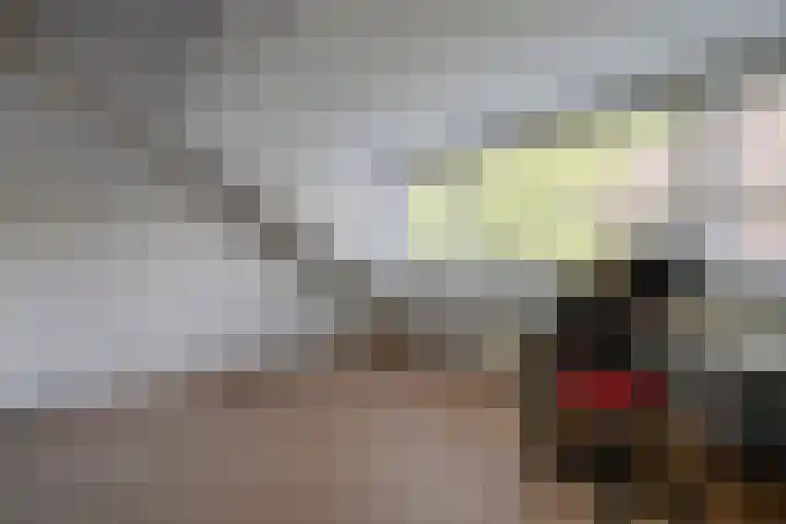 Grothelaan 18 A Groenekan thumbnail 48