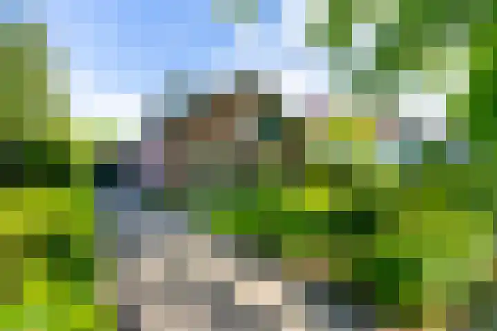Grothelaan 18 A Groenekan thumbnail 53