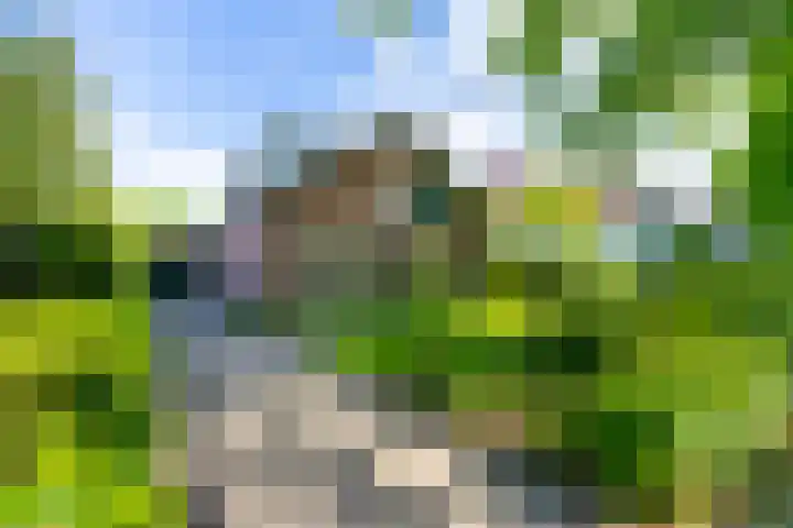 Grothelaan 18 A Groenekan thumbnail 54
