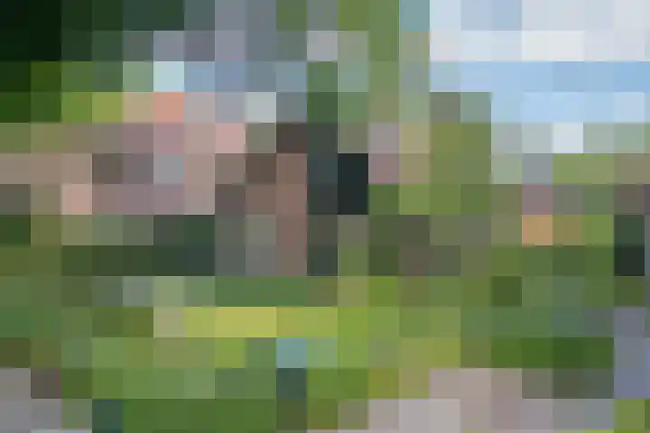 Grothelaan 18 A Groenekan thumbnail 56