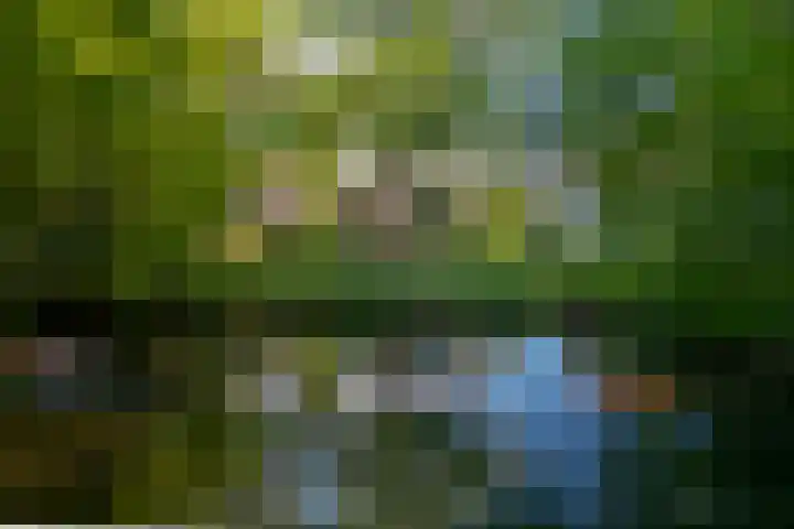 Grothelaan 18 A Groenekan thumbnail 57