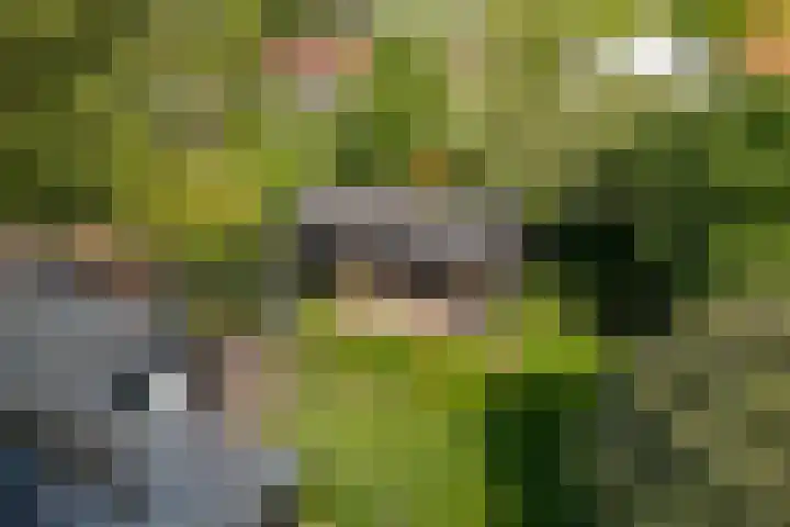 Grothelaan 18 A Groenekan thumbnail 59