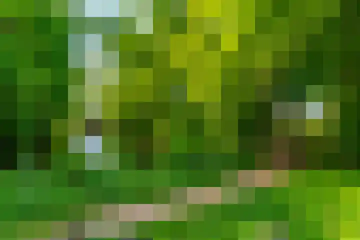 Grothelaan 18 A Groenekan thumbnail 62