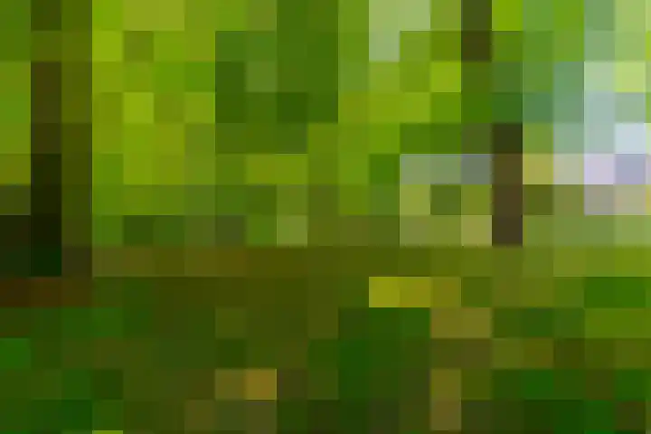 Grothelaan 18 A Groenekan thumbnail 63