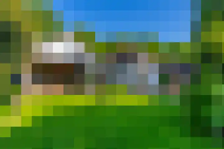 Grothelaan 18 A Groenekan thumbnail 68