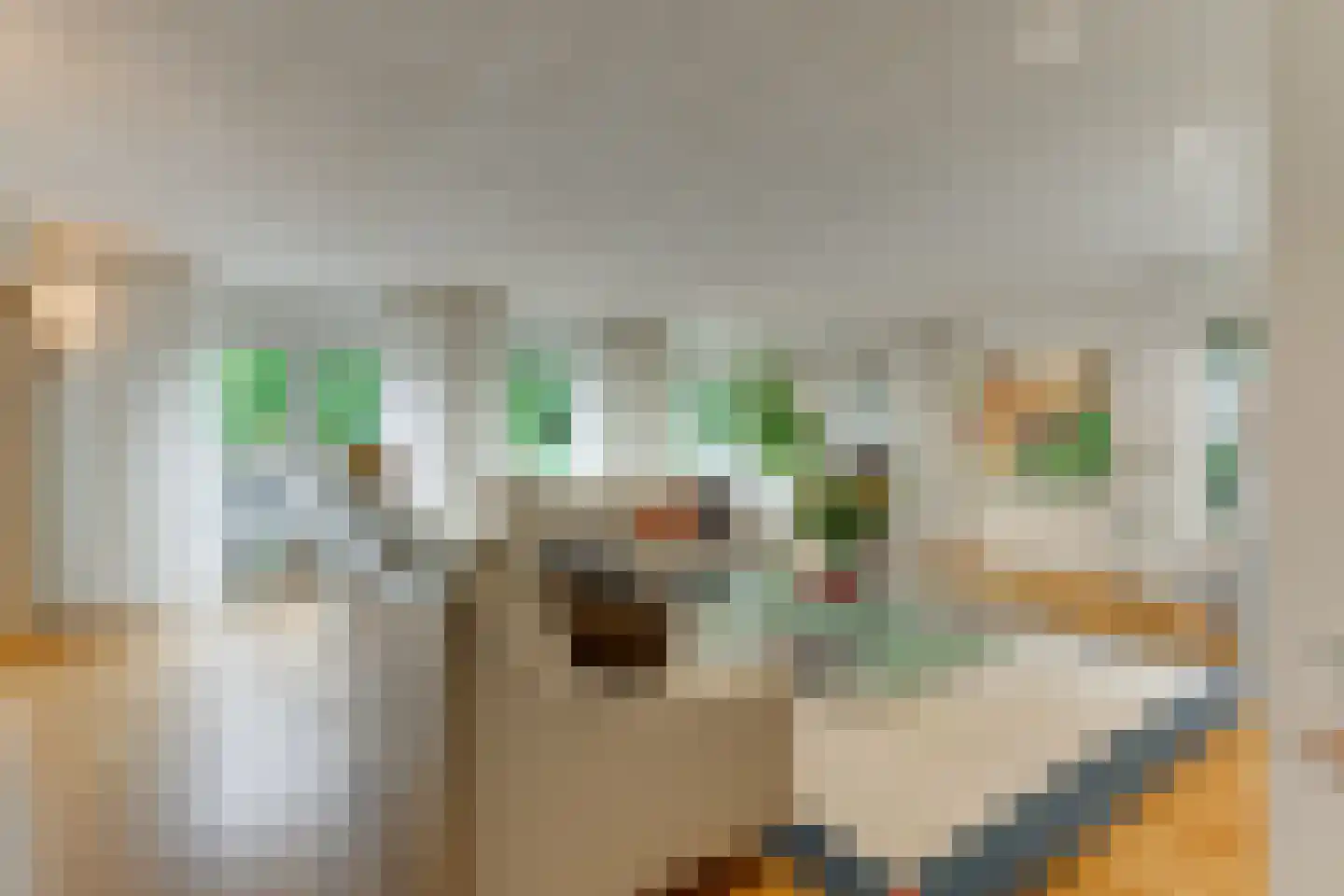 Grotiuslaan 10 Leiderdorp thumbnail 4