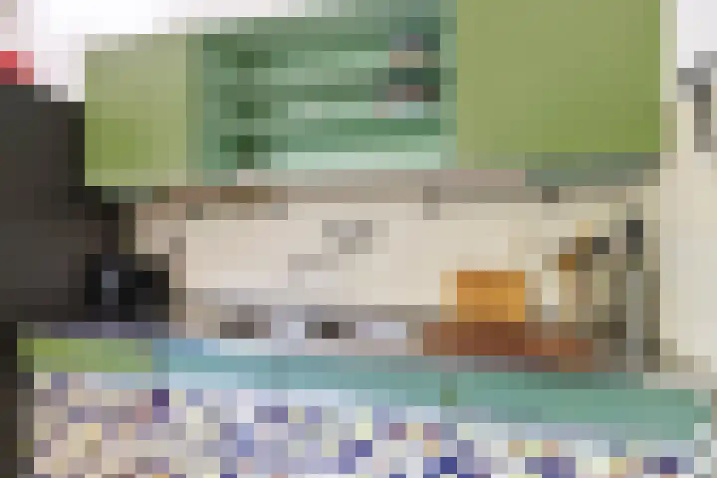 Grotiuslaan 15 Leiderdorp thumbnail 15