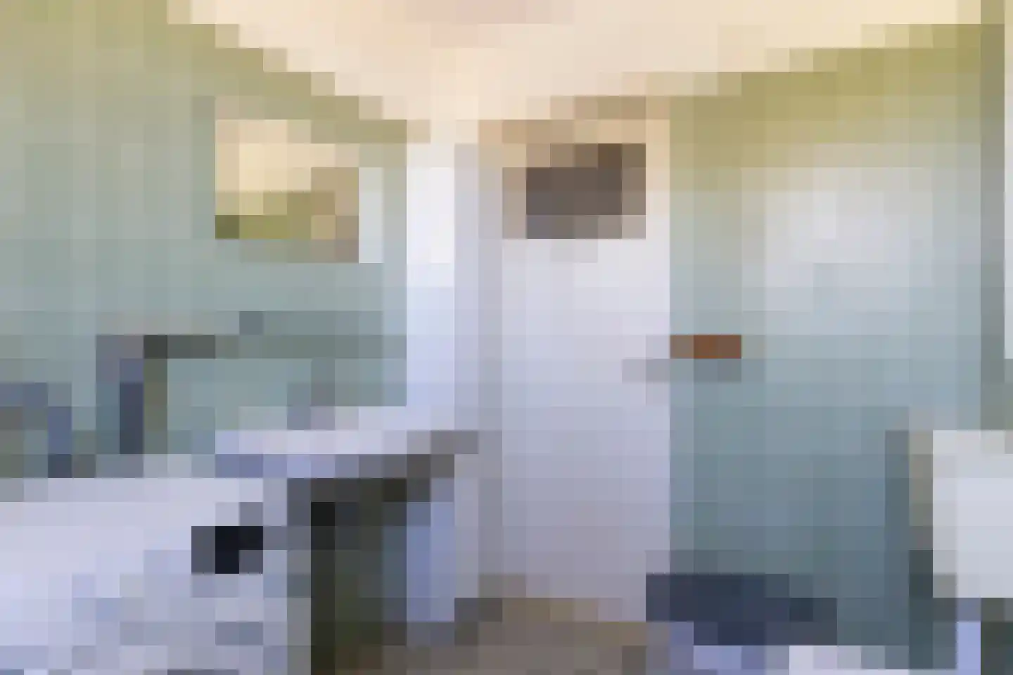 Grotiuslaan 15 Leiderdorp thumbnail 26