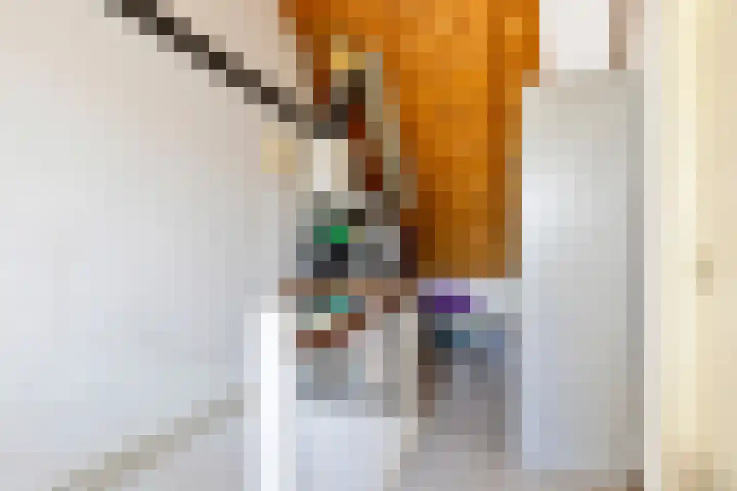 Grotiuslaan 15 Leiderdorp thumbnail 28