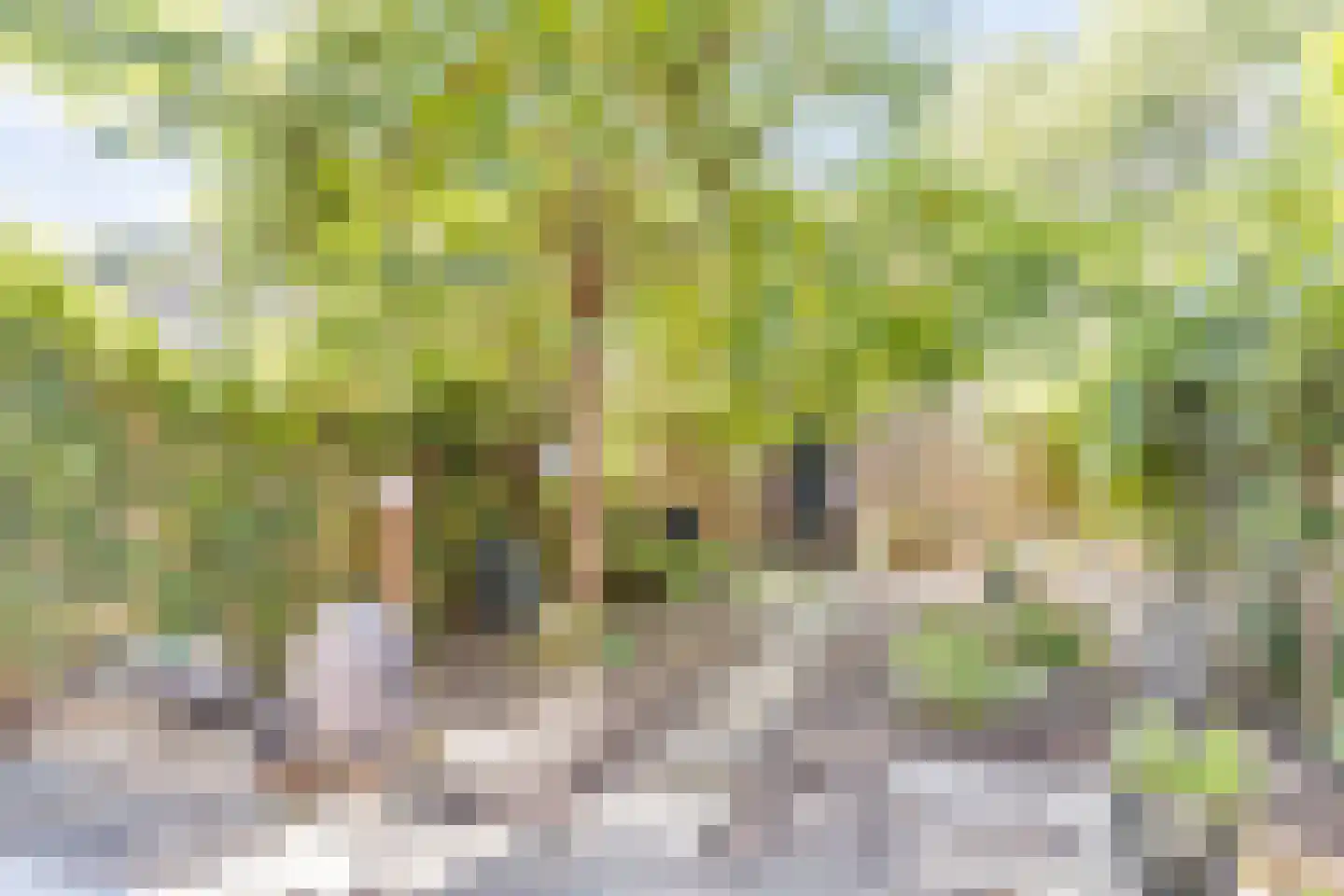 Grotiuslaan 15 Leiderdorp thumbnail 32