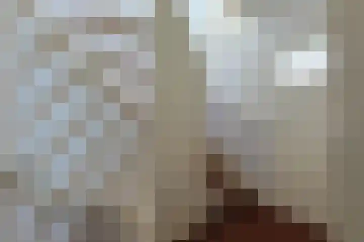 Grotiuslaan 17 Leiderdorp thumbnail 18