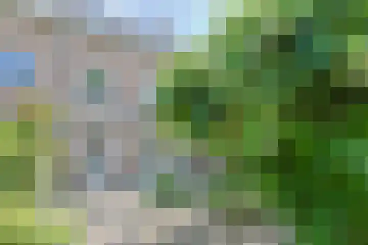 Grotiuslaan 17 Leiderdorp thumbnail 34