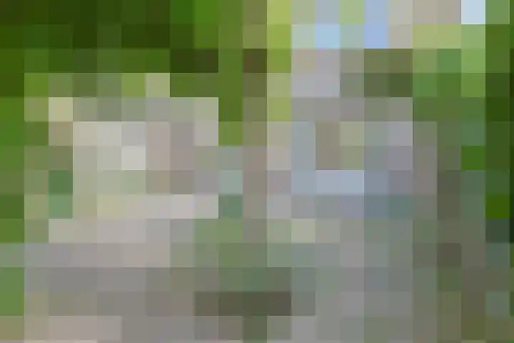 Grotiuslaan 17 Leiderdorp thumbnail 35