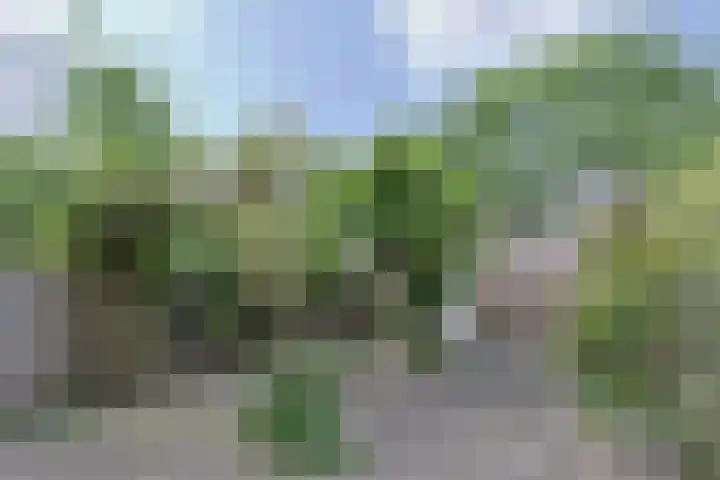 Grotiuslaan 17 Leiderdorp thumbnail 5