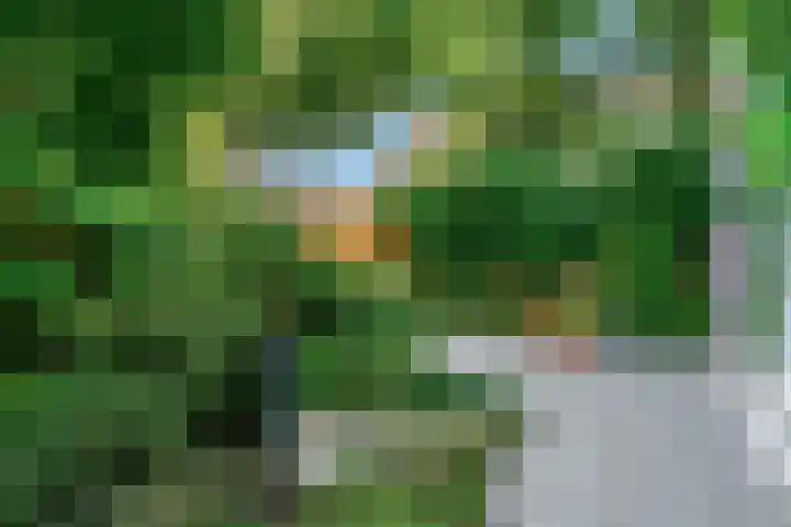 Grotiuslaan 43 Leiderdorp thumbnail 44