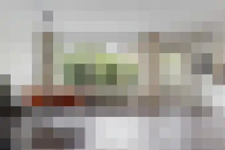 Grotiuslaan 65 Leiderdorp thumbnail 12