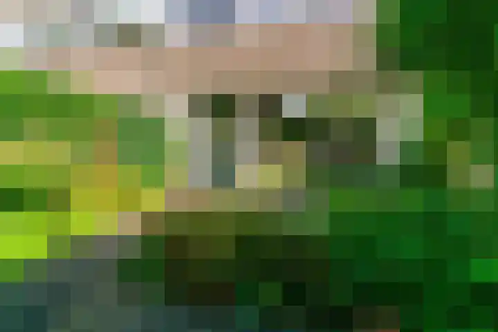 Grotiuslaan 65 Leiderdorp thumbnail 30