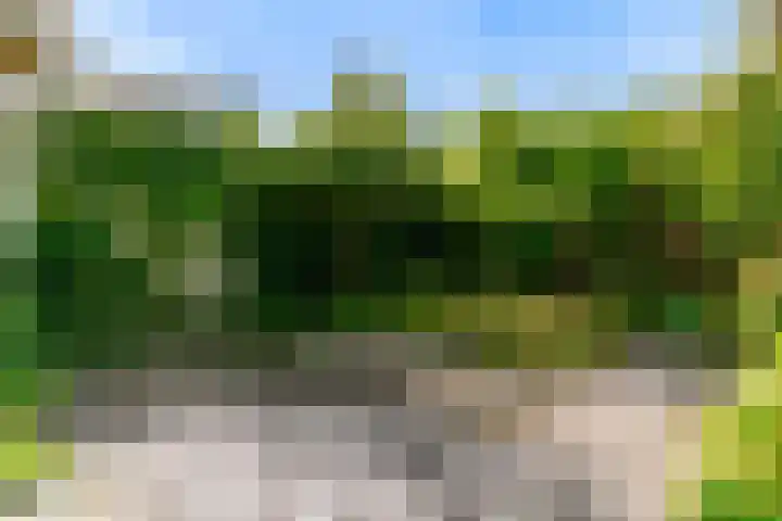 Grotiuslaan 65 Leiderdorp thumbnail 31