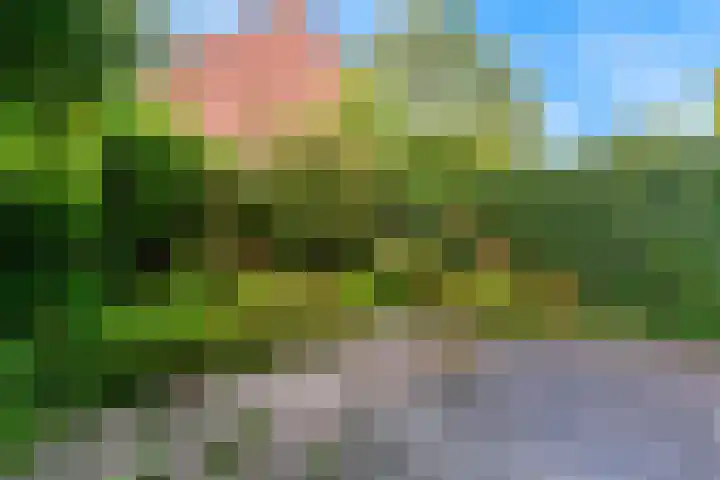 Grotiuslaan 65 Leiderdorp thumbnail 32
