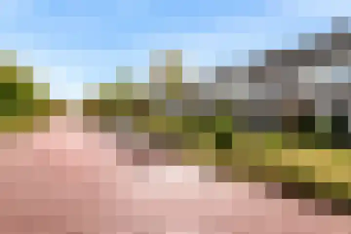 Grotiuslaan 65 Leiderdorp thumbnail 33