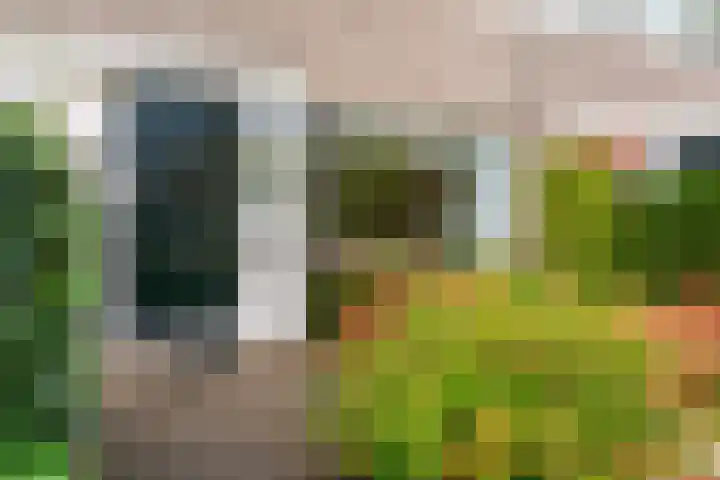 Grotiuslaan 65 Leiderdorp thumbnail 4