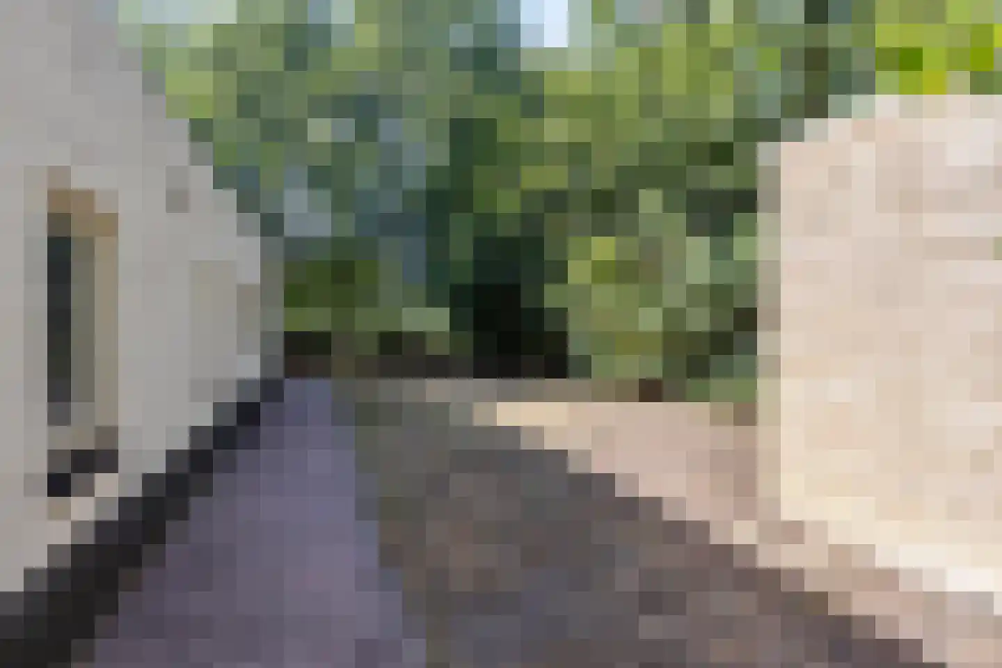 Grove Den 11 Sint-Oedenrode thumbnail 19