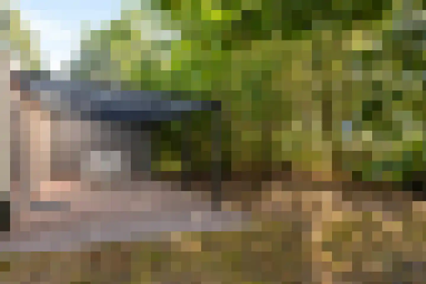Grove Den 11 Sint-Oedenrode thumbnail 20