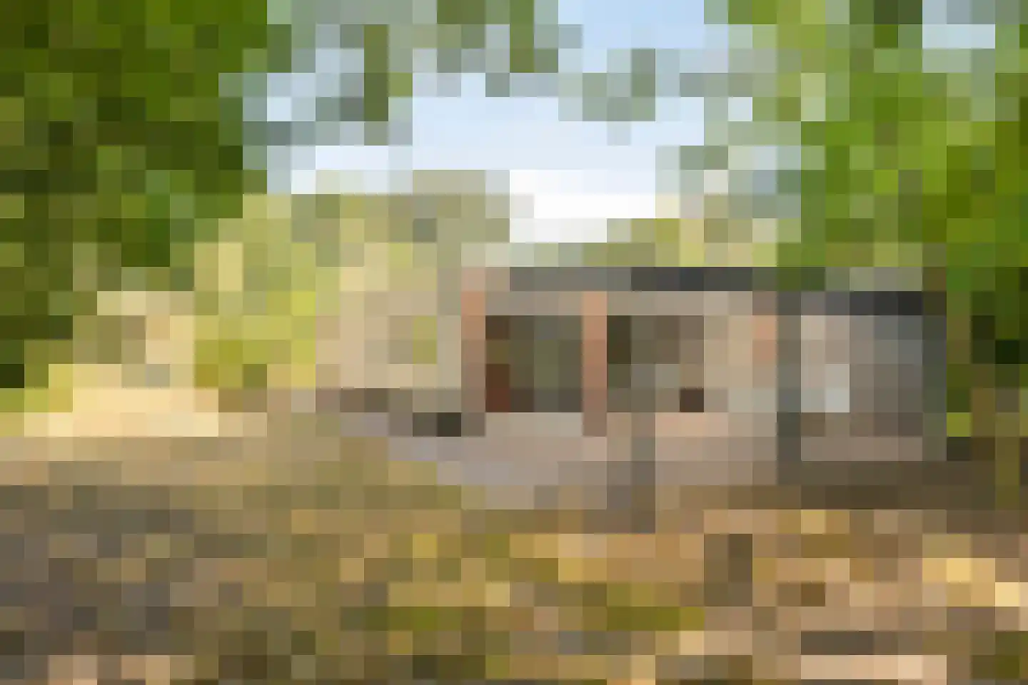 Grove Den 11 Sint-Oedenrode thumbnail 21